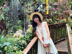 -正佳雨林生态植物园