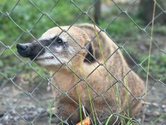 -合肥滨湖国家森林公园