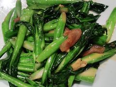 -大榕树下顺德菜(融创茂店)