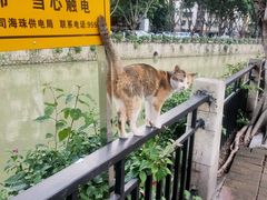 -晓港公园