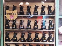 -猫咪博物馆(顶澳仔猫街店)