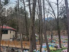 -洛阳白云山景区