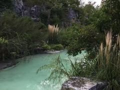 -吴淞炮台湾湿地森林公园烧烤区