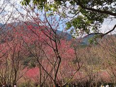 -福清灵石山国家森林公园