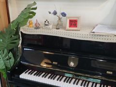 -小先生琴行(科园路店)