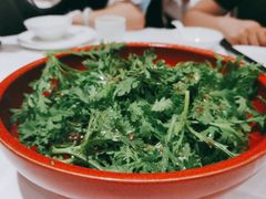 老醋茼蒿-山东老家(黄埔分店)