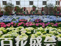 -盈香心动乐园