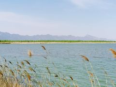 -野鸭湖国家湿地公园