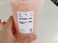 多肉桃桃-茉沏(昆山金鹰店)
