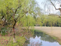 -柳莺湖上·湖景餐厅·江南菜(西湖店)