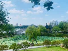 -梅园