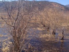 -泸沽湖国家级风景名胜区走婚桥