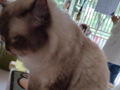 -平行世界·猫咖(首经贸店)