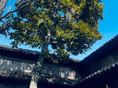 -乌镇枕水度假酒店