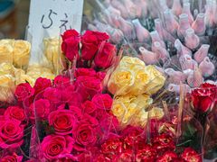 -循礼门鲜花花市(武汉循礼门店)