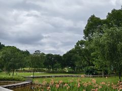 -神光山国家森林公园