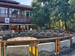 -成都市活水公园