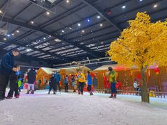-宁波冰雪大世界(北仑区)