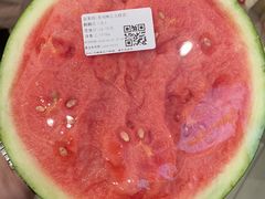 -昆山城市生态森林公园