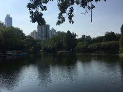 -晓港公园