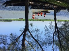 蓝田生态园-洪湖生态旅游区