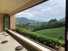 -帐篷客·溪龙茶谷度假酒店