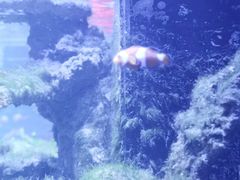 -zoonana室内动物园(东方福来德店)