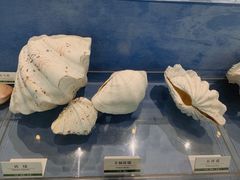 -浙江自然博物院(杭州馆)