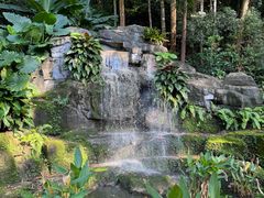 -深圳仙湖植物园