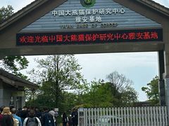 -中国大熊猫保护研究中心雅安碧峰峡基地