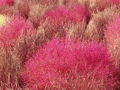 -映月湖中央公园