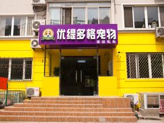 课外活动-优缇多格专业宠物美容师培训学校