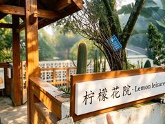 -柠檬花院烤肉·会议团建·聚会·求婚(三圣乡店)