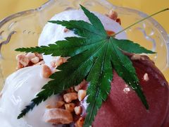 -璞渼咖啡 ROOF P.M. Café(浦东美术馆店)