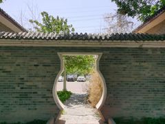 -大港湿地公园