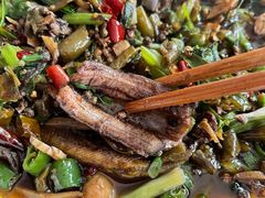 -盘龙黄鳝(盘龙居店)