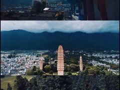 -西双版纳原始森林公园