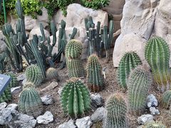 -北京植物园-展览温室