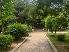-前关湿地公园