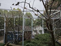 -合肥野生动物园