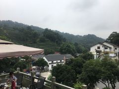 -龙井村