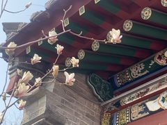 -迎泽公园