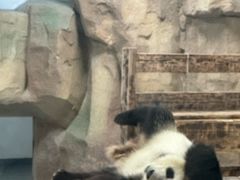 -无锡动物园·太湖欢乐园