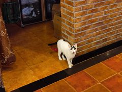 -维吾尔餐厅(宜山路店)