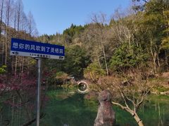-灵栖洞天