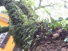 -ALBERGUE 1601 婆仔屋葡国餐厅