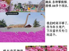 -五龙山野生动物王国