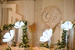 -HY小曼wedding·TOPYOUNG团队