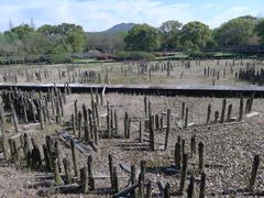 -河姆渡遗址博物馆