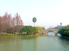 -江心屿景区